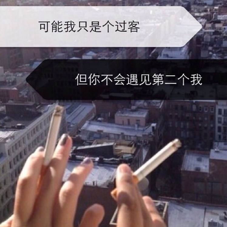 中原一点红