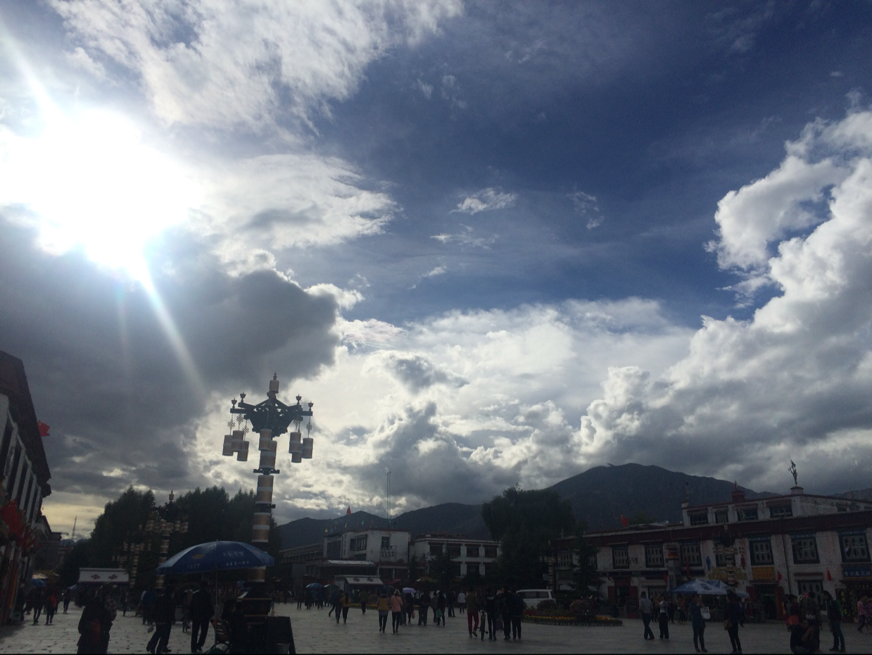 十十十十十十十十