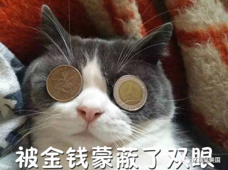 字里相逢