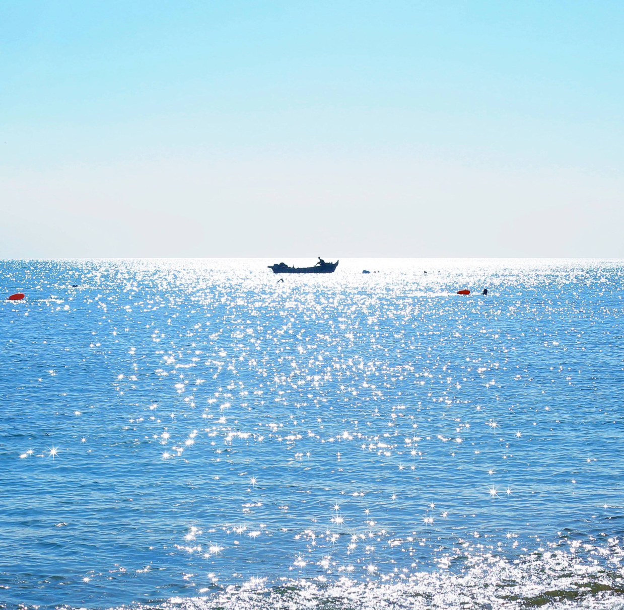 我说富贵险中求