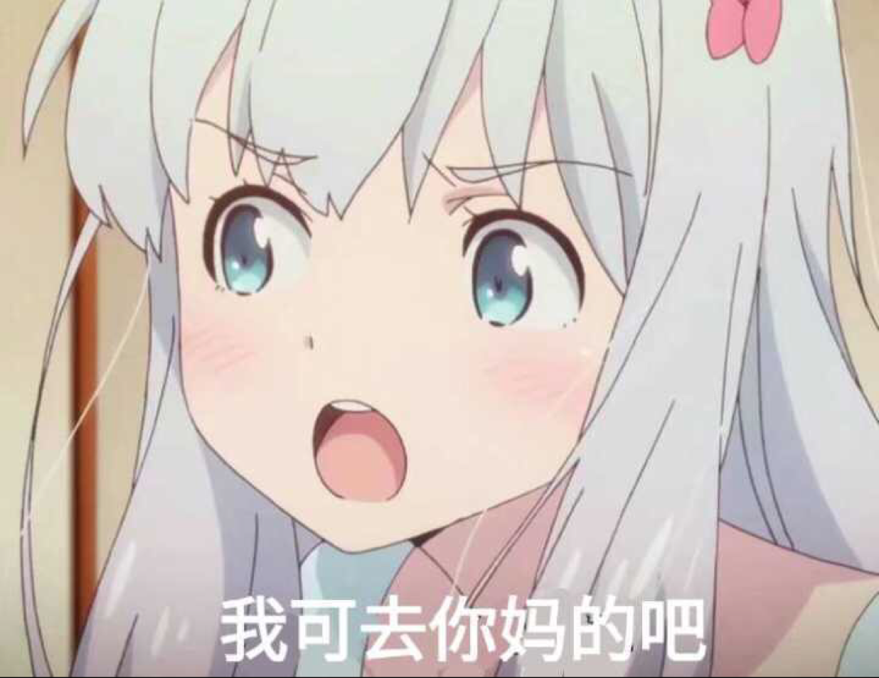 南小鸟