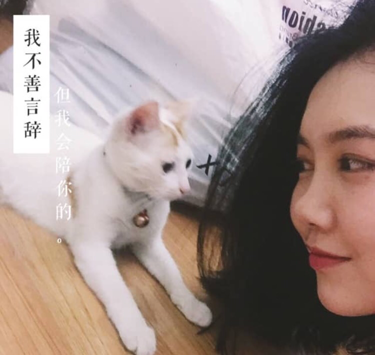 高买低卖小韭菜