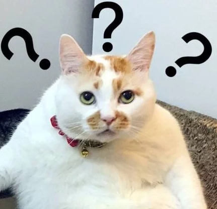 听说炒股能赚钱