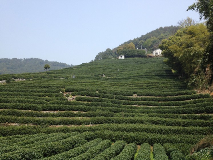 千路阳光