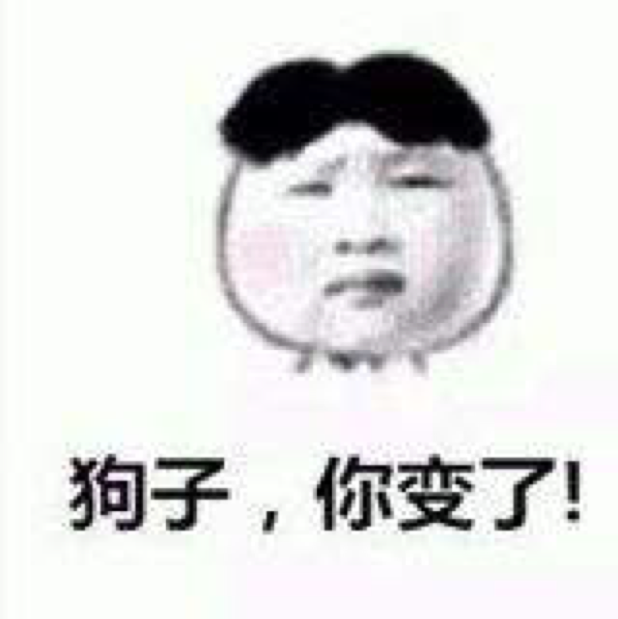 狗子你变了
