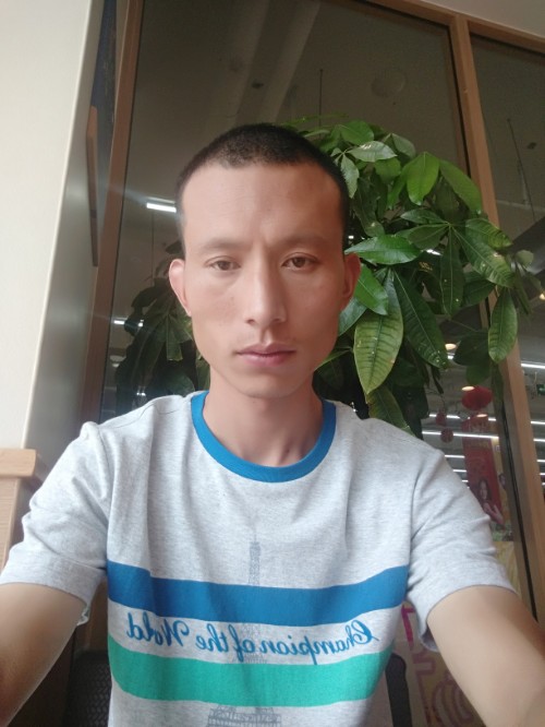 老虎就是我
