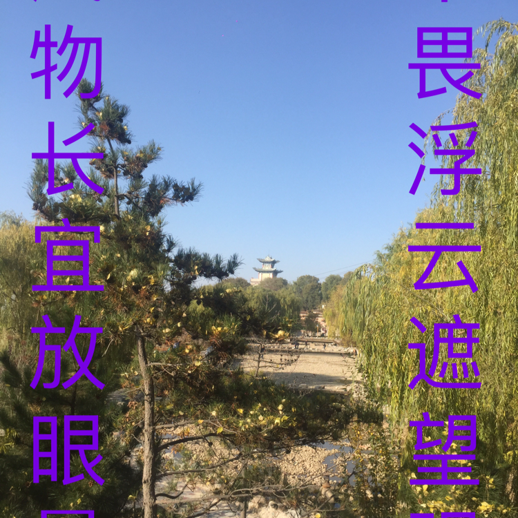 物竞天泽